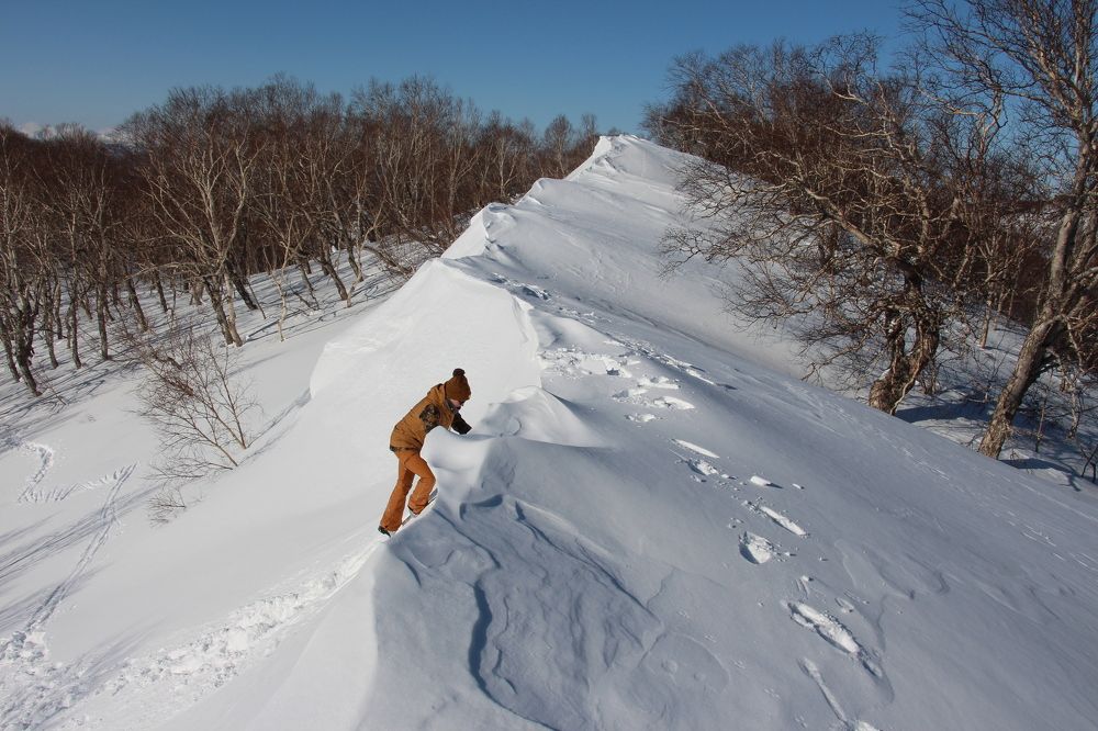Фотография автора Швец Оксана Анатольевна