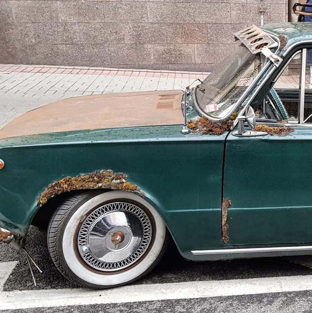 назад в прошлое