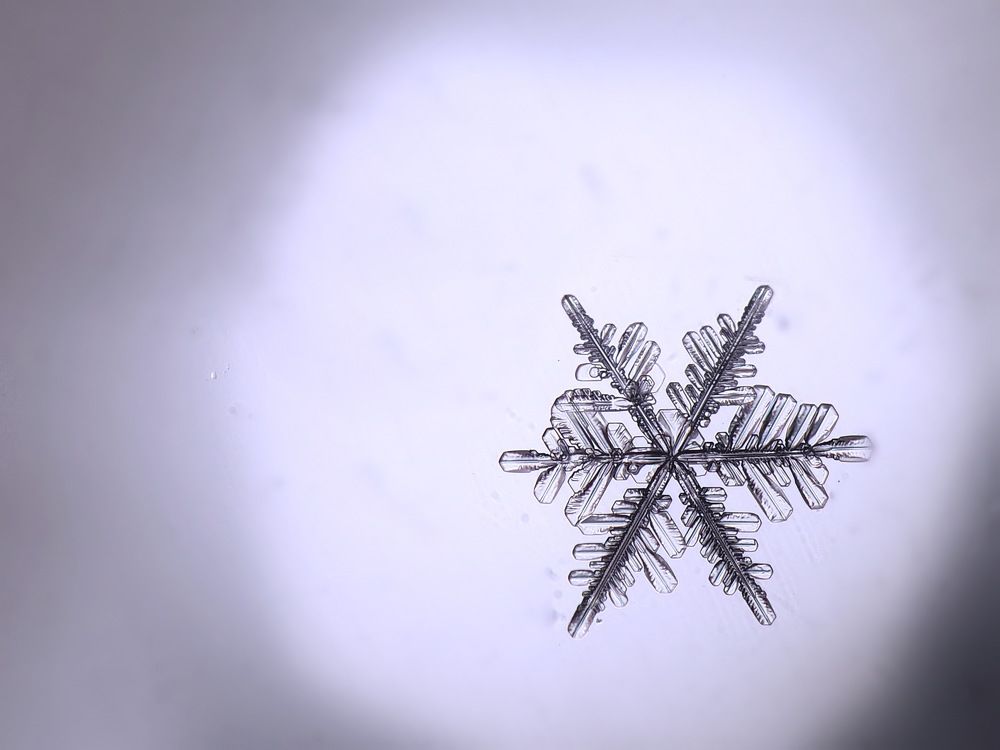 Утренняя встреча