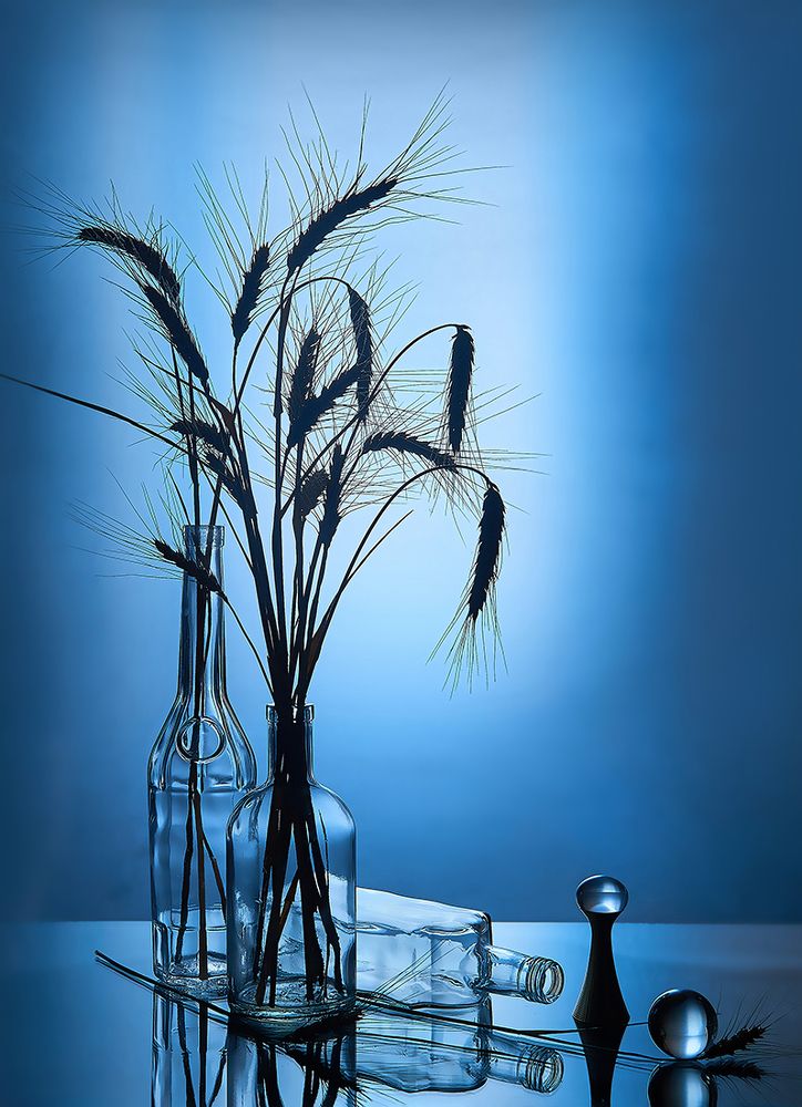 Photograph by MVO (Марк Орлов)