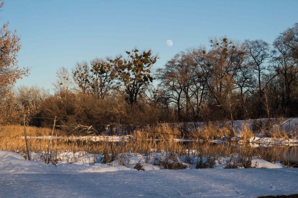 Photograph by Мари Полищук
