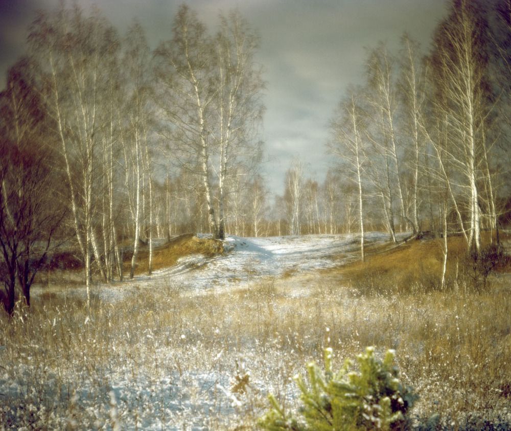 Зимний пейзаж 1