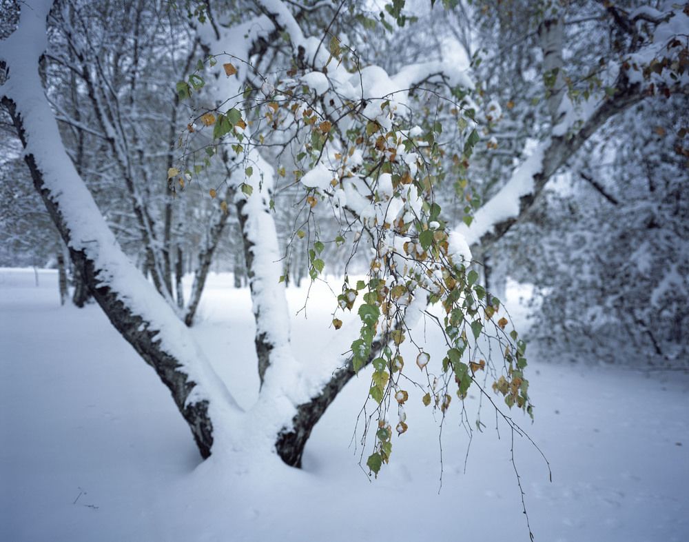 Зимний пейзаж 3