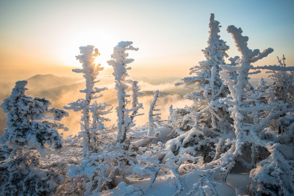 Рассветная зимняя сказка