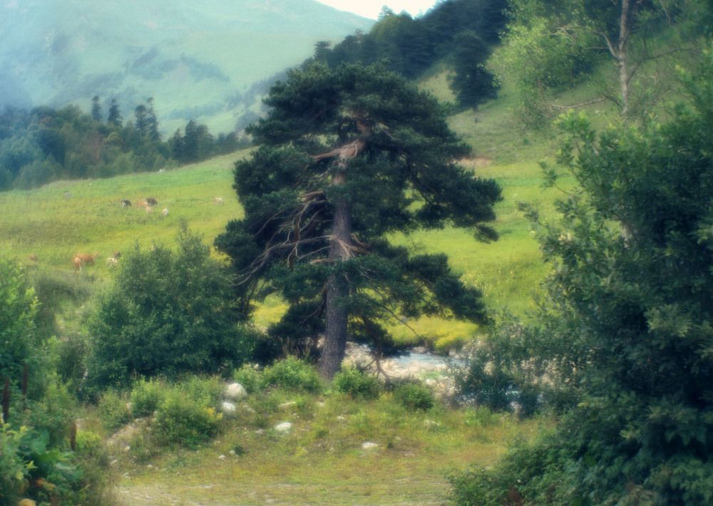 Пикториальный пейзаж