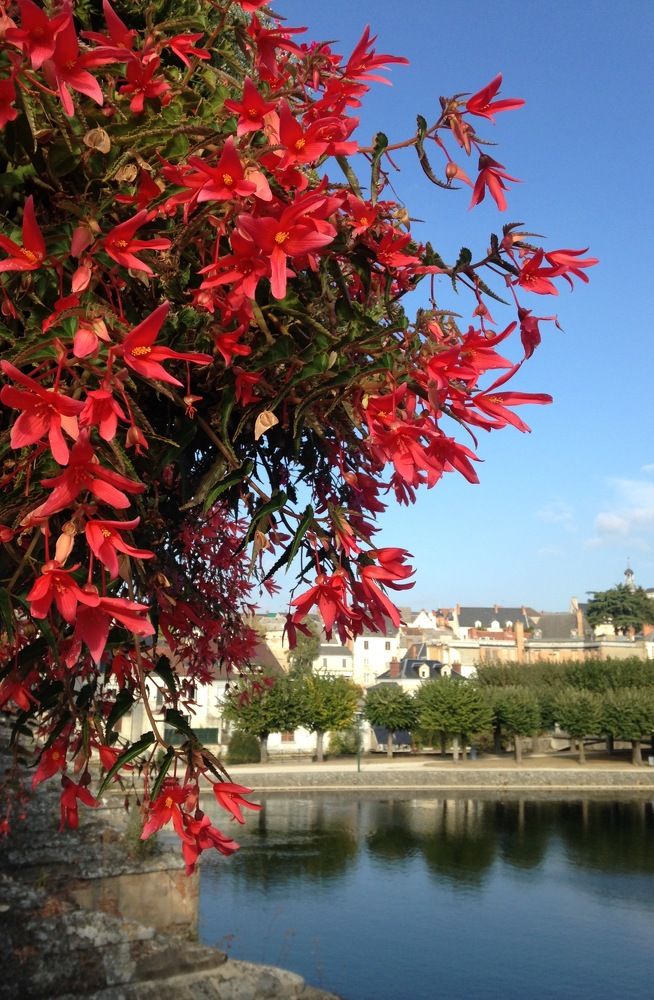 Photograph by Столярова Ольга