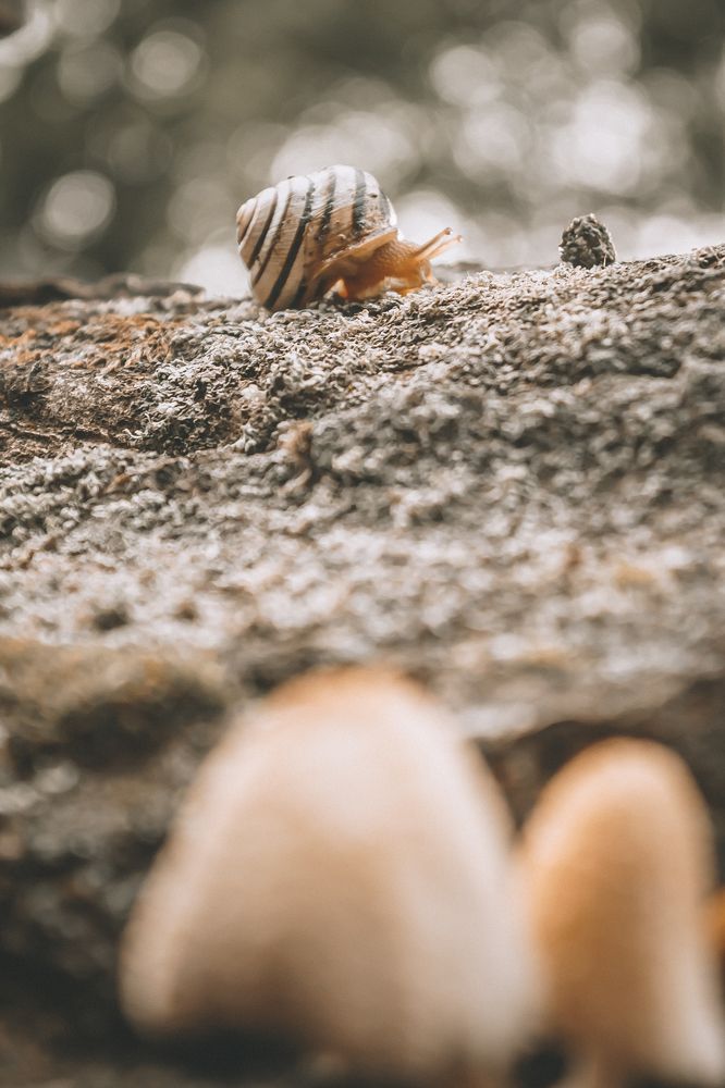 После летнего дождя