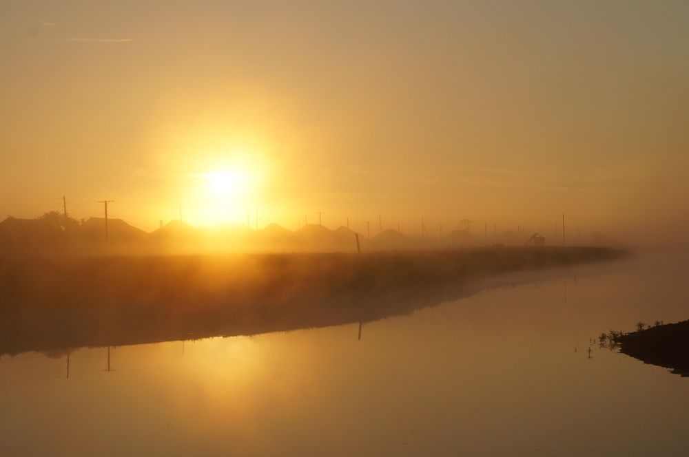 Туманное утро