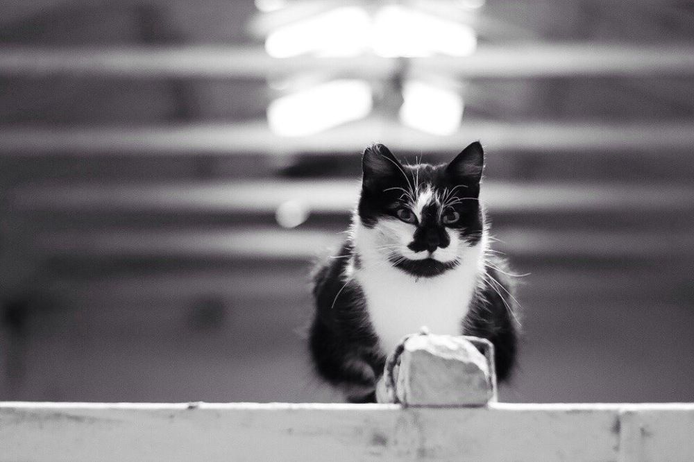 "В веке технологий..."