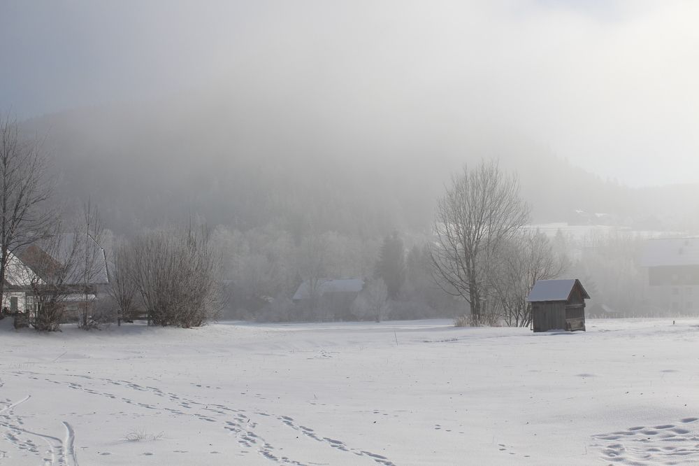 В утреннем морозном тумане.