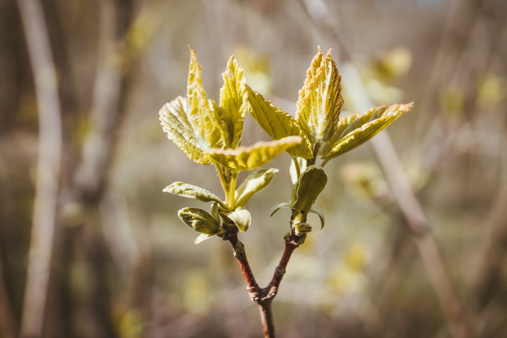 Начало теплой поры