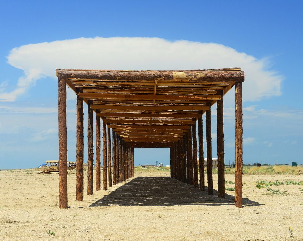 Фотография автора Медведев Сергей