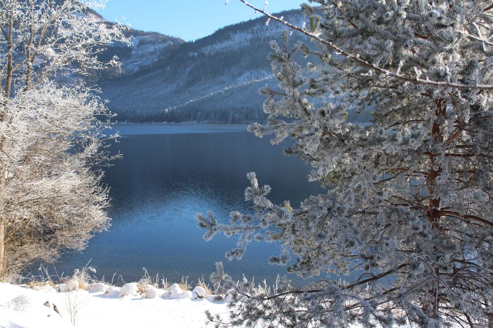 Зимние краски.