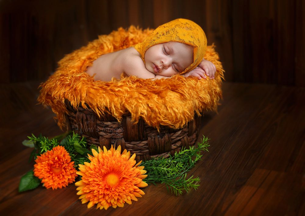 Photograph by Vinodhini