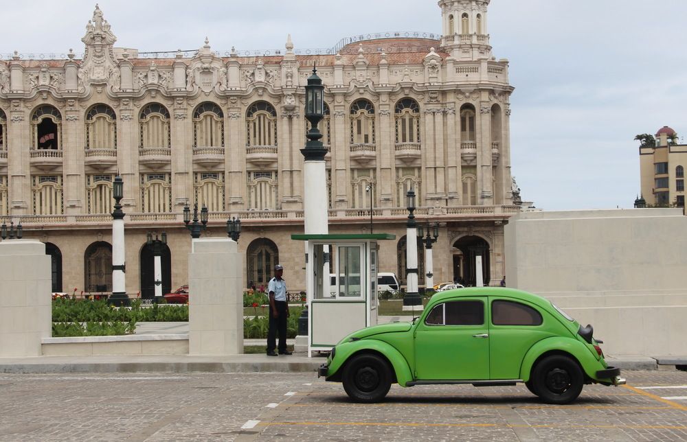 на фоне дворца