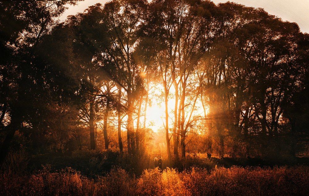 Photograph by Zhanna Kletskaya