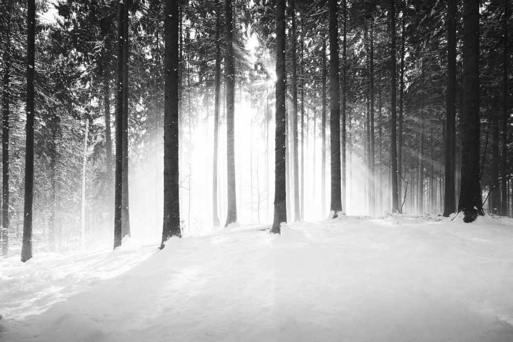 Lütjensee bei Schnee