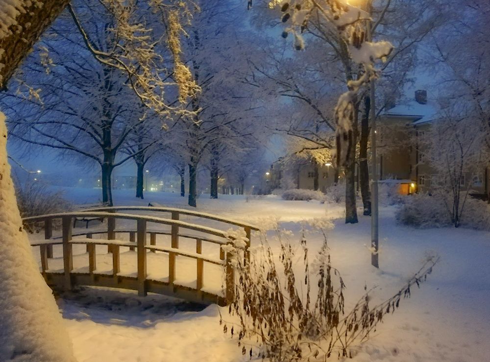 Утро в Kälparken