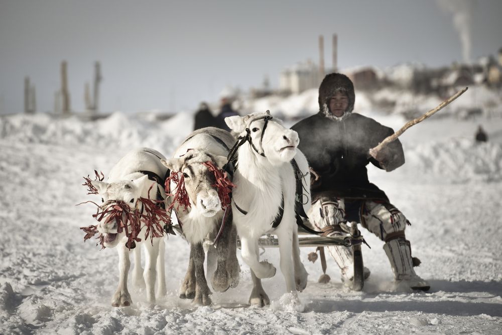 Следуя на праздник