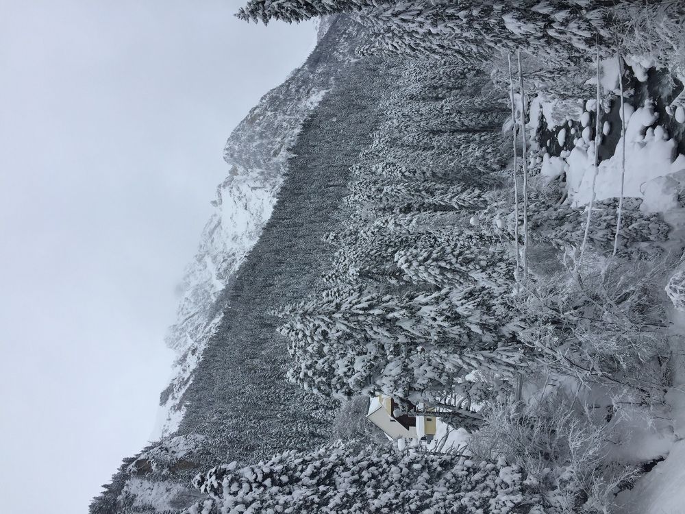 Снежные горы