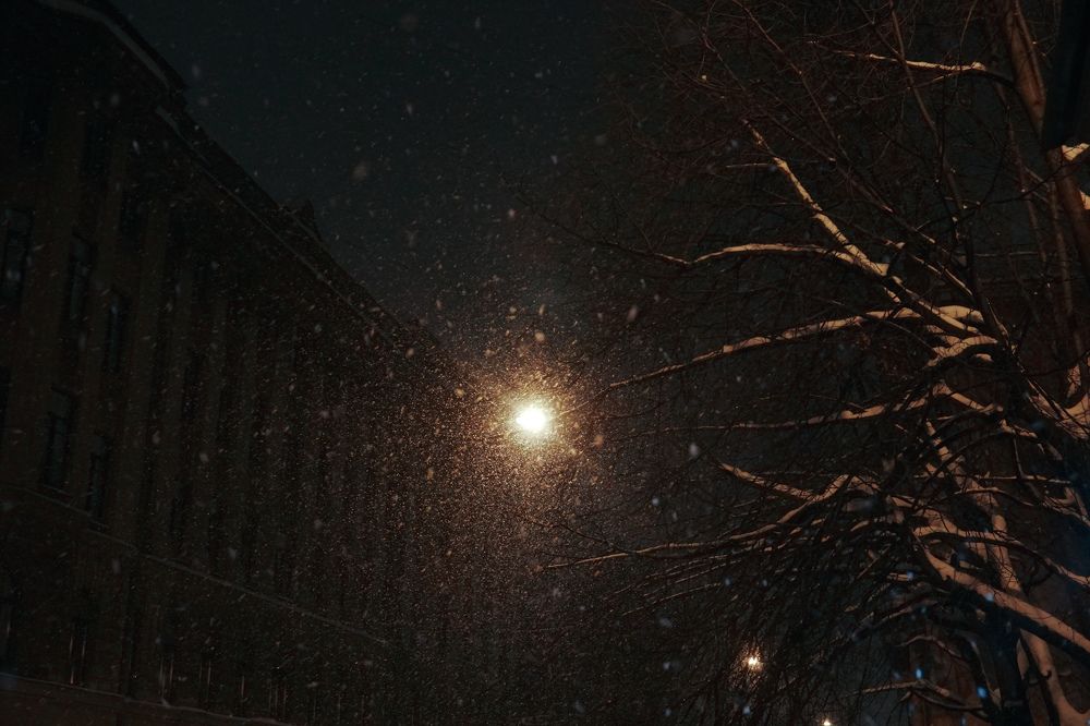 Photograph by Максим Кузнецов