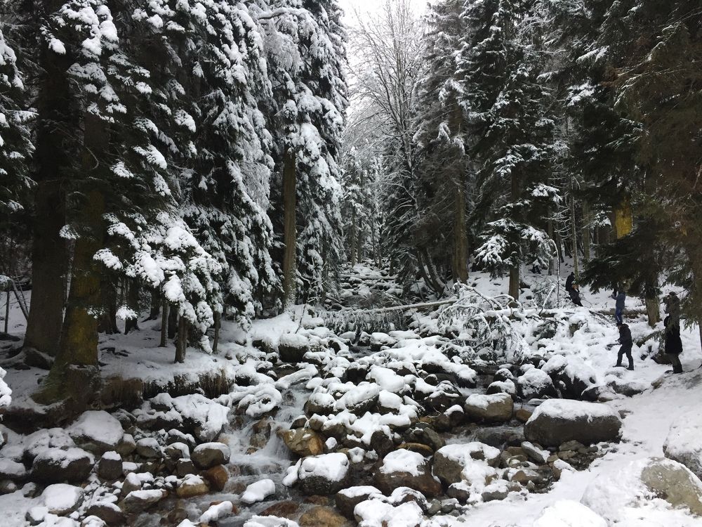 Photograph by Татьяна Поволоцкая