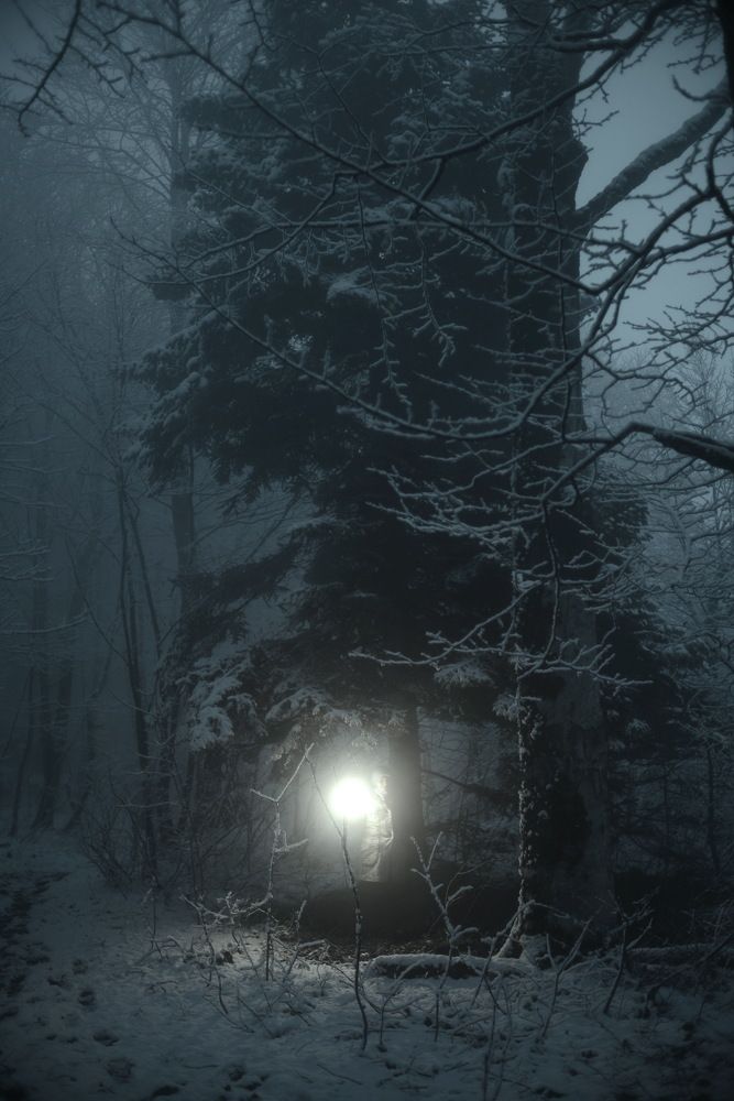 Фотография автора Медведев Сергей