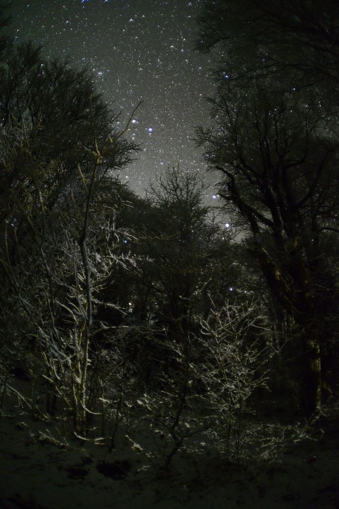 Фотография автора Медведев Сергей