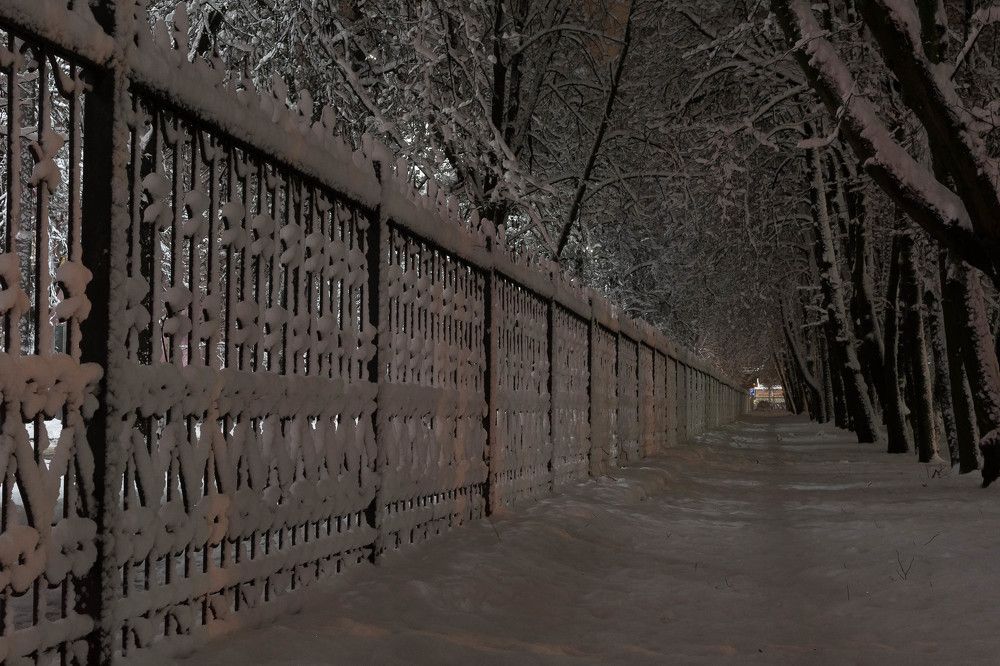 Зимний парк