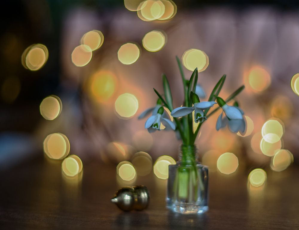 Январские подснежники.