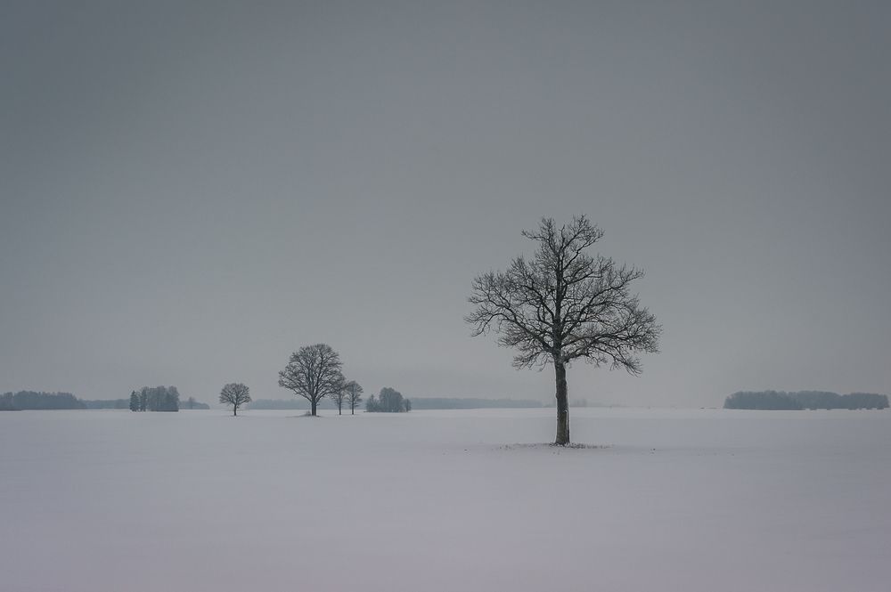 Mираж одиночества