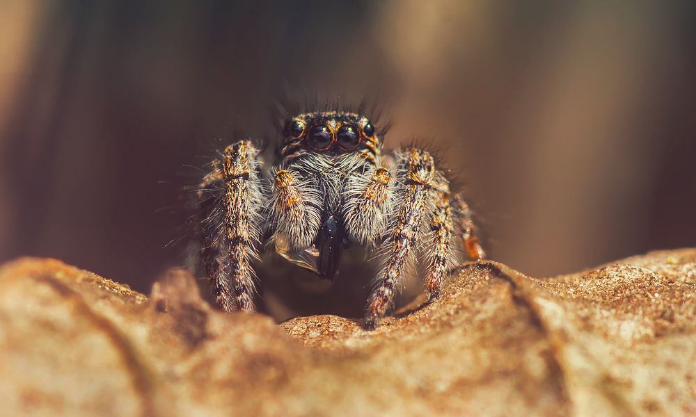 Photograph by Тараненко Анжелика