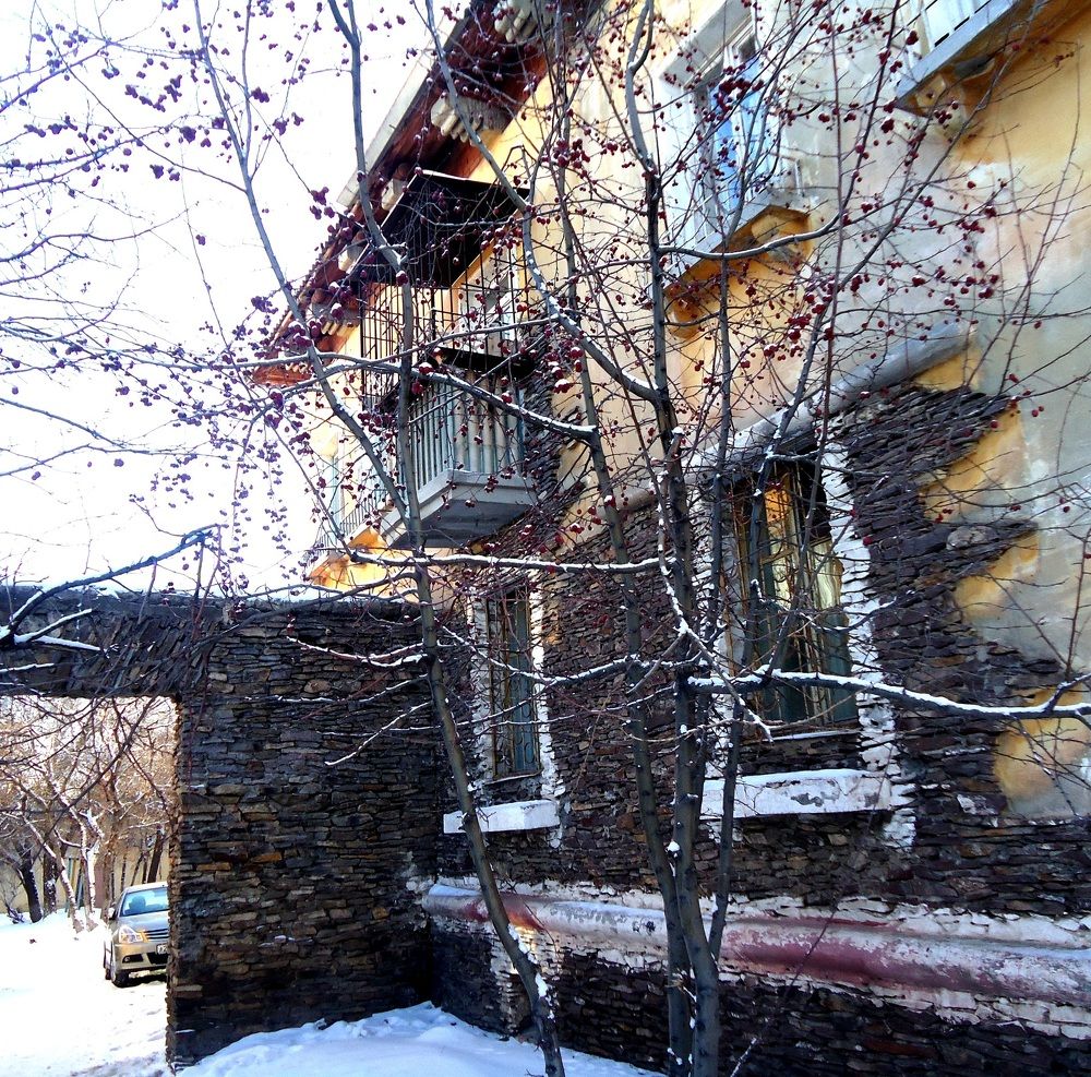 Зимняя дичка