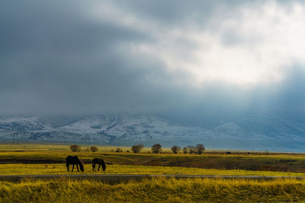 Photograph by Максим Рожин