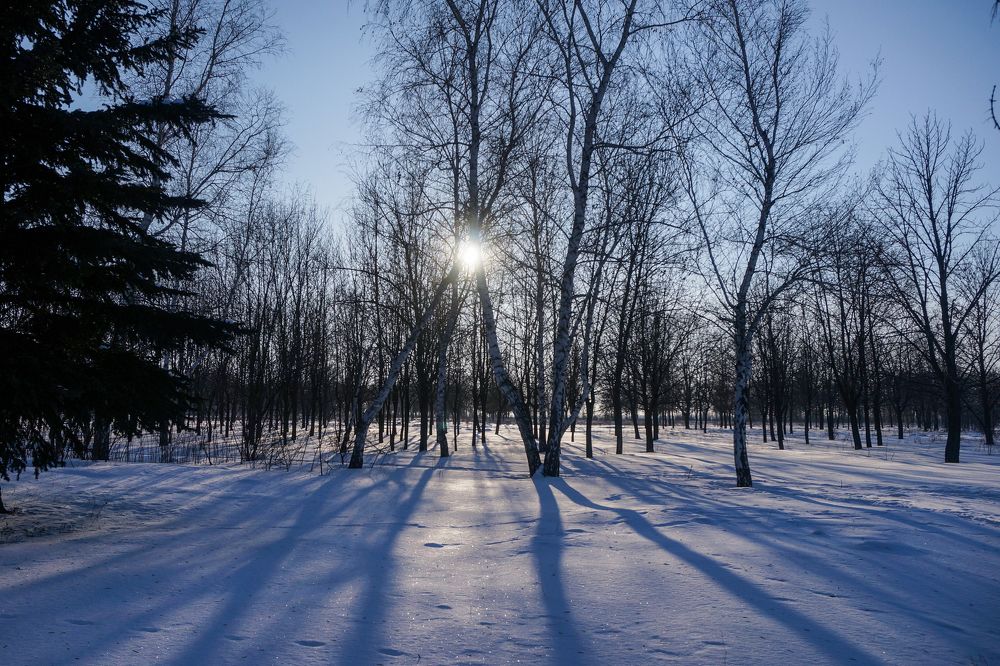 Мороз и солнце, "минус" двадцать...