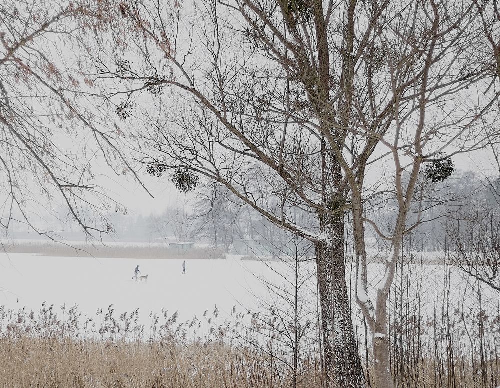 Красивая пора.