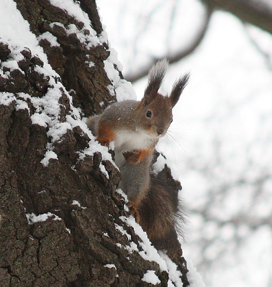 Принесли мне покушать?