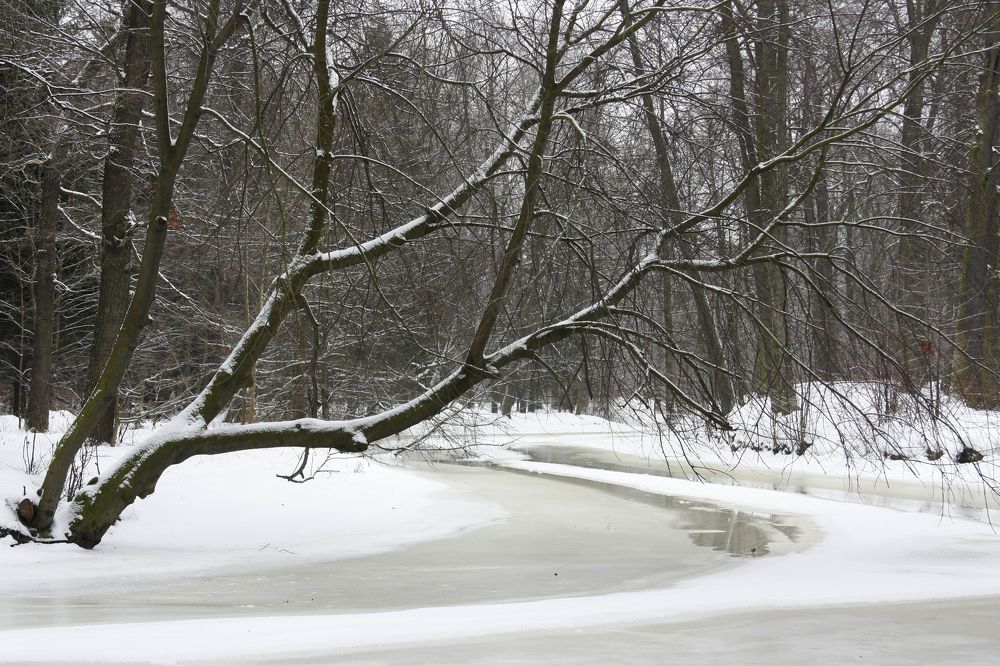 Весна приближается