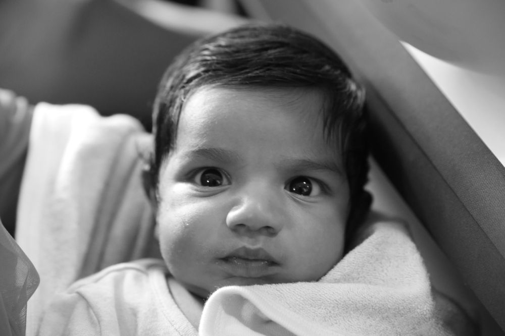 Photograph by Febin Francis