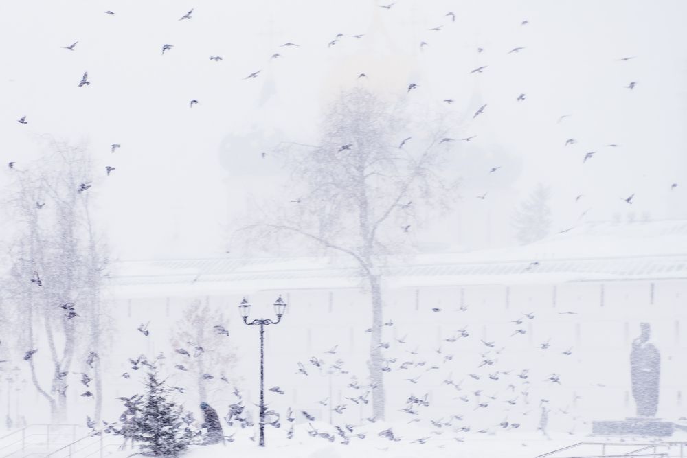 Photograph by Ирина Хромова