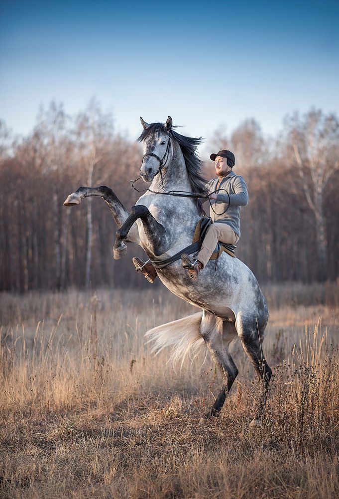 Но, поехали!