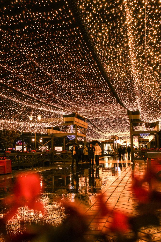 Вечер.Прогулка.