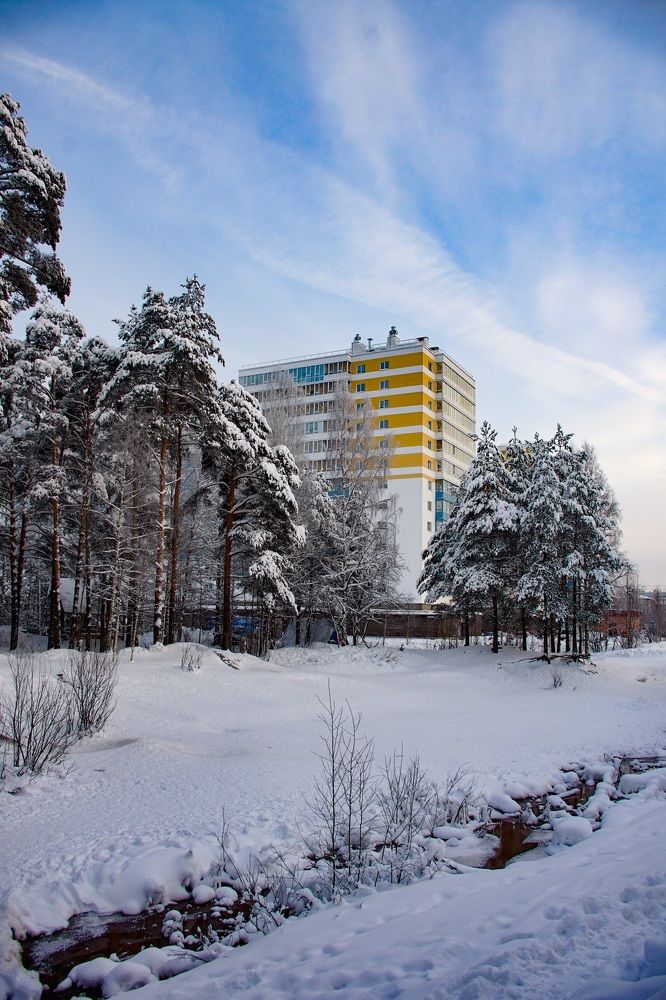 Окраина Всеволожска , зима