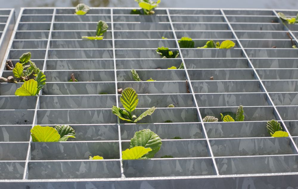 Фотография автора Ольга Матусевич