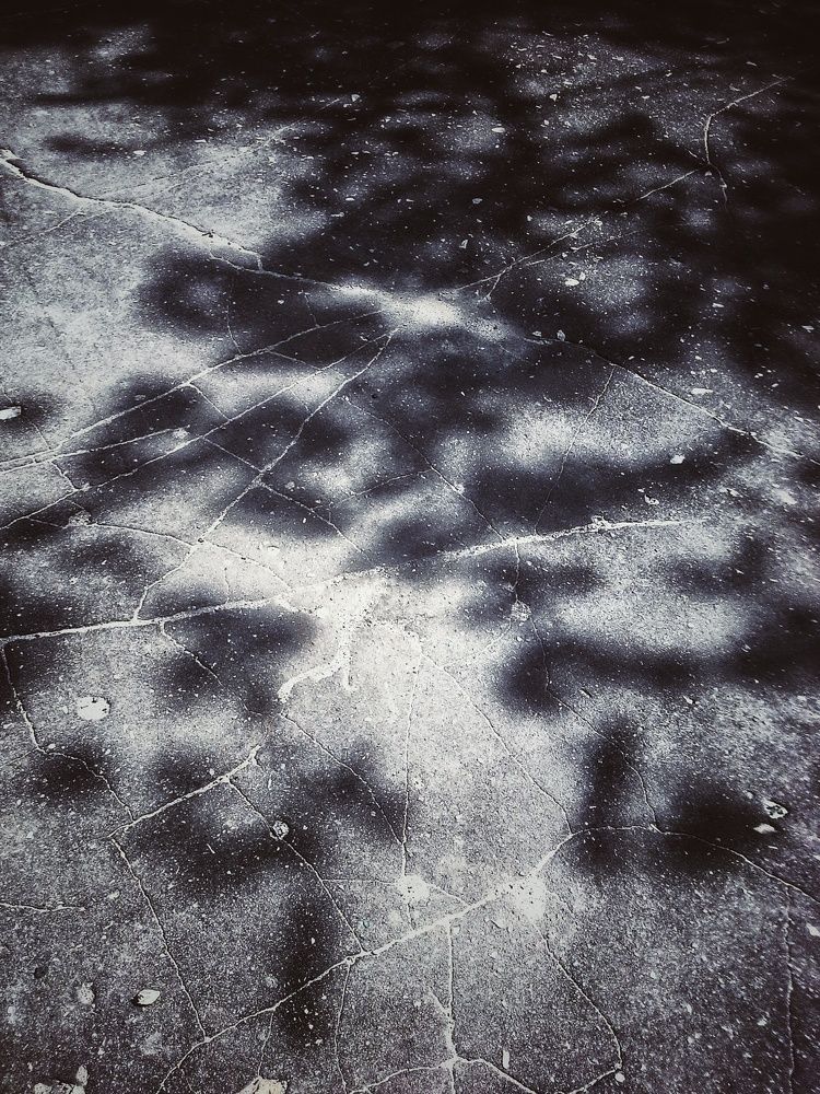 Тени на асфальте