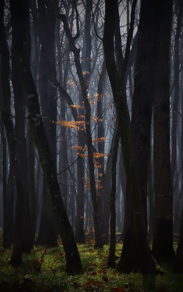 осенний мотив