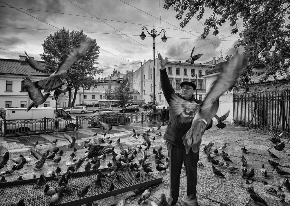 Photograph by Алексей Ладей