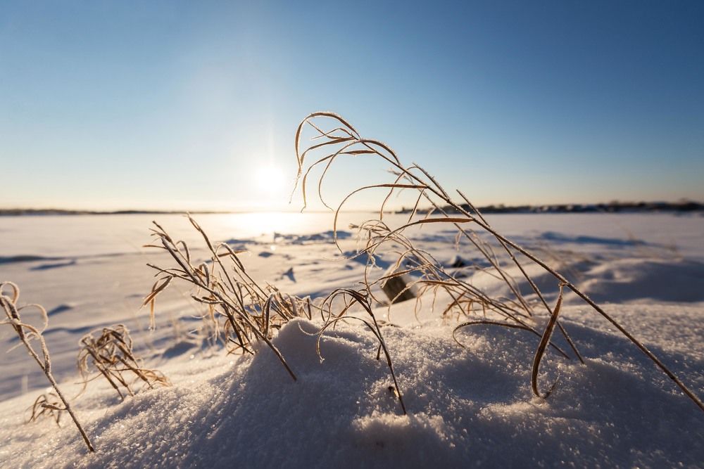 Зимнее солнце...