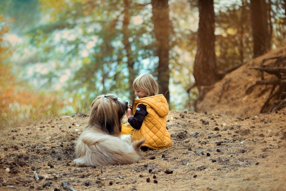 Photograph by Анна Пикулина