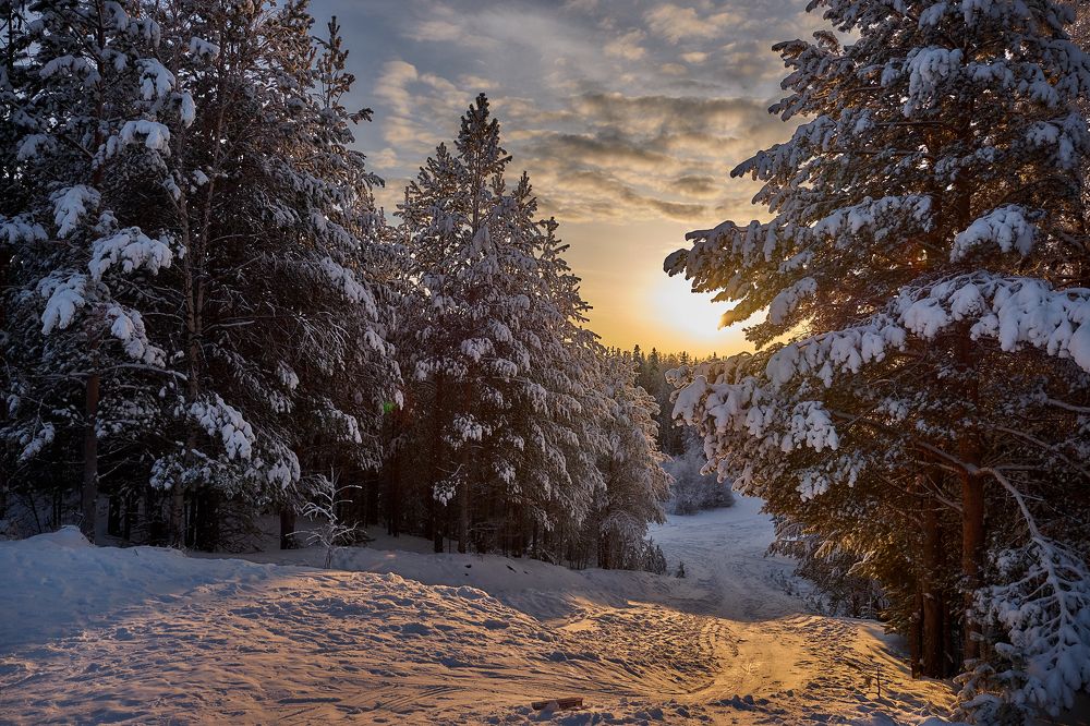 Фотография автора Вадим Белов